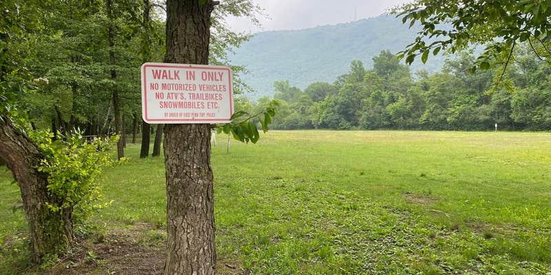 Camper submitted image from Riverview Park Campground