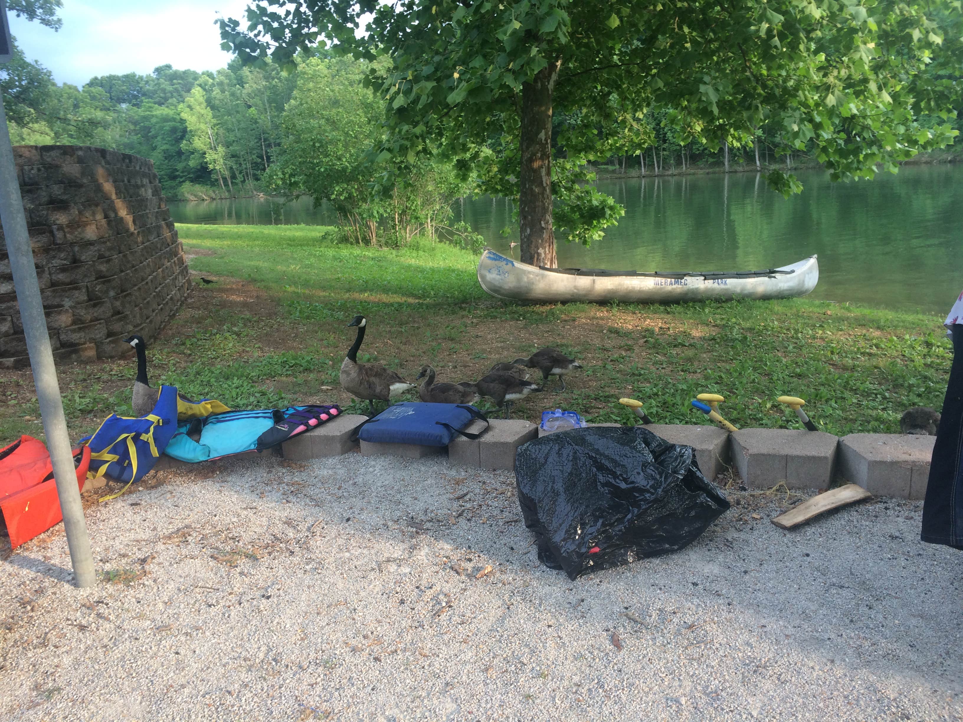 Dawn D.'s photo at Cape Fair near Aurora, MO