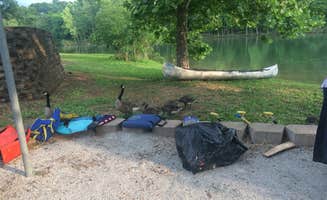 Dawn D.'s photo at Cape Fair near Aurora, MO