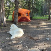 Review photo of Deep Creek Campground by Bryan P., June 29, 2023
