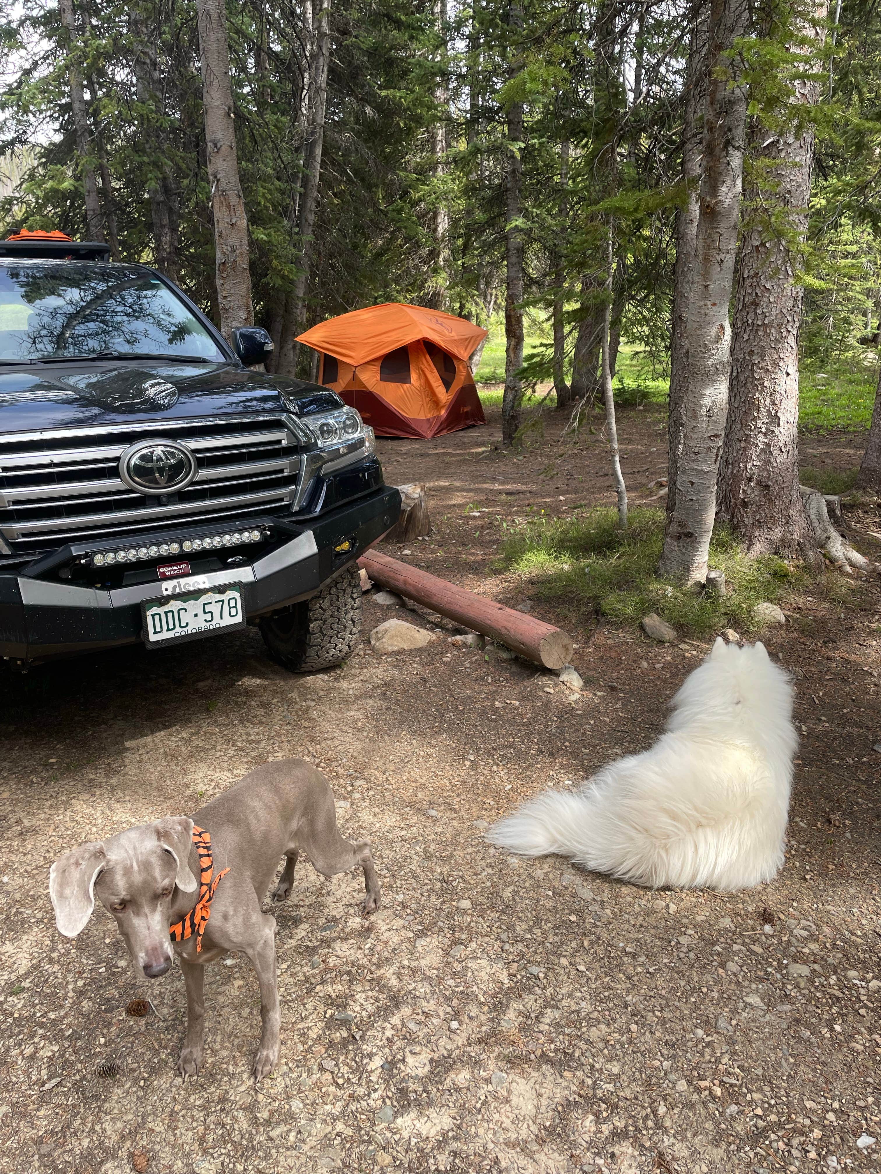 Camper-submitted photo at Deep Creek Campground near Centennial, WY