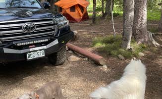 Bryan P.'s photo of camping with pets at Deep Creek Campground near Elk Mountain, WY