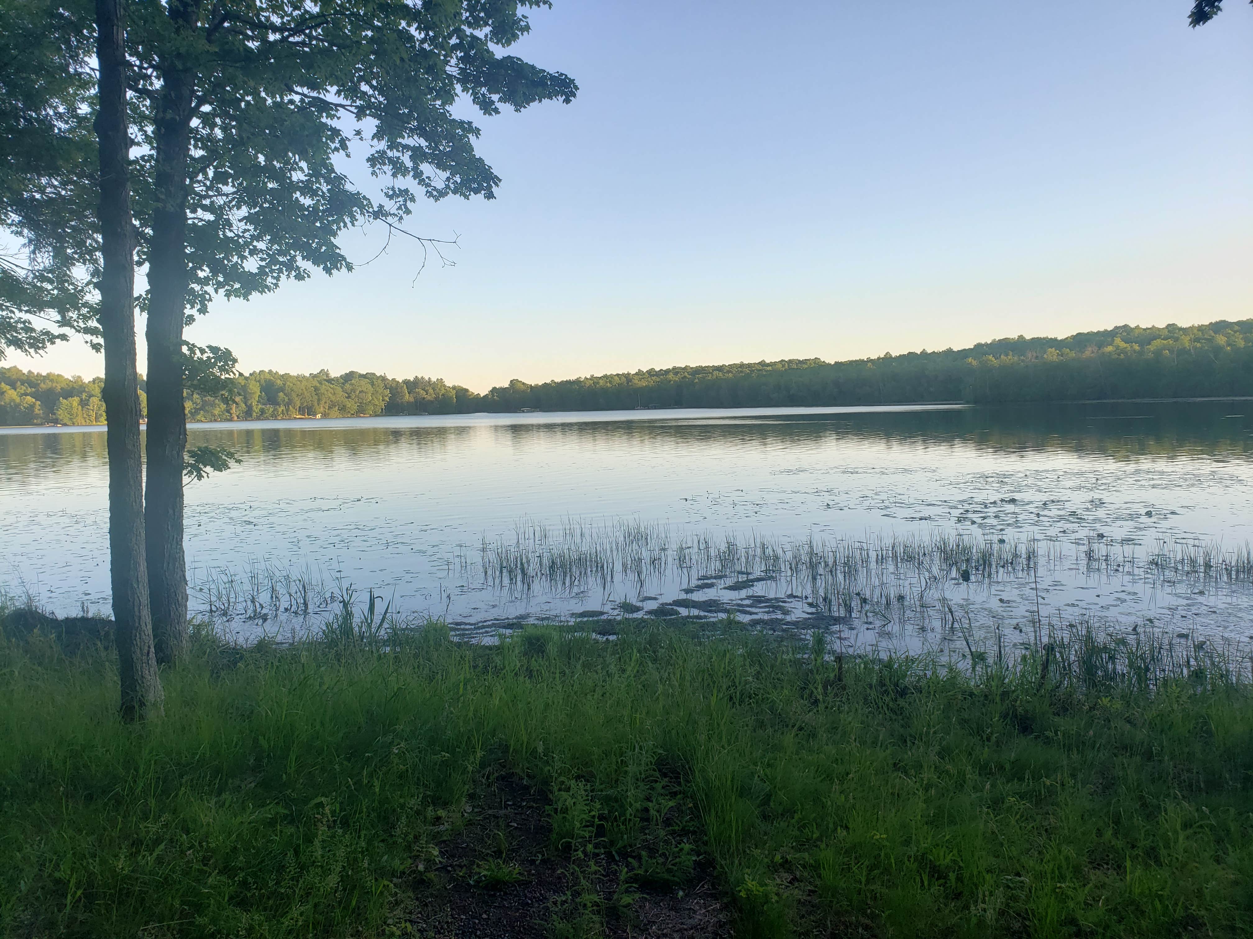 Camper submitted image from Butternut Lake Camping - 2