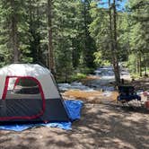 Review photo of Gold Camp Road/Forest Service Road 376 Dispersed by Chris P., June 29, 2023