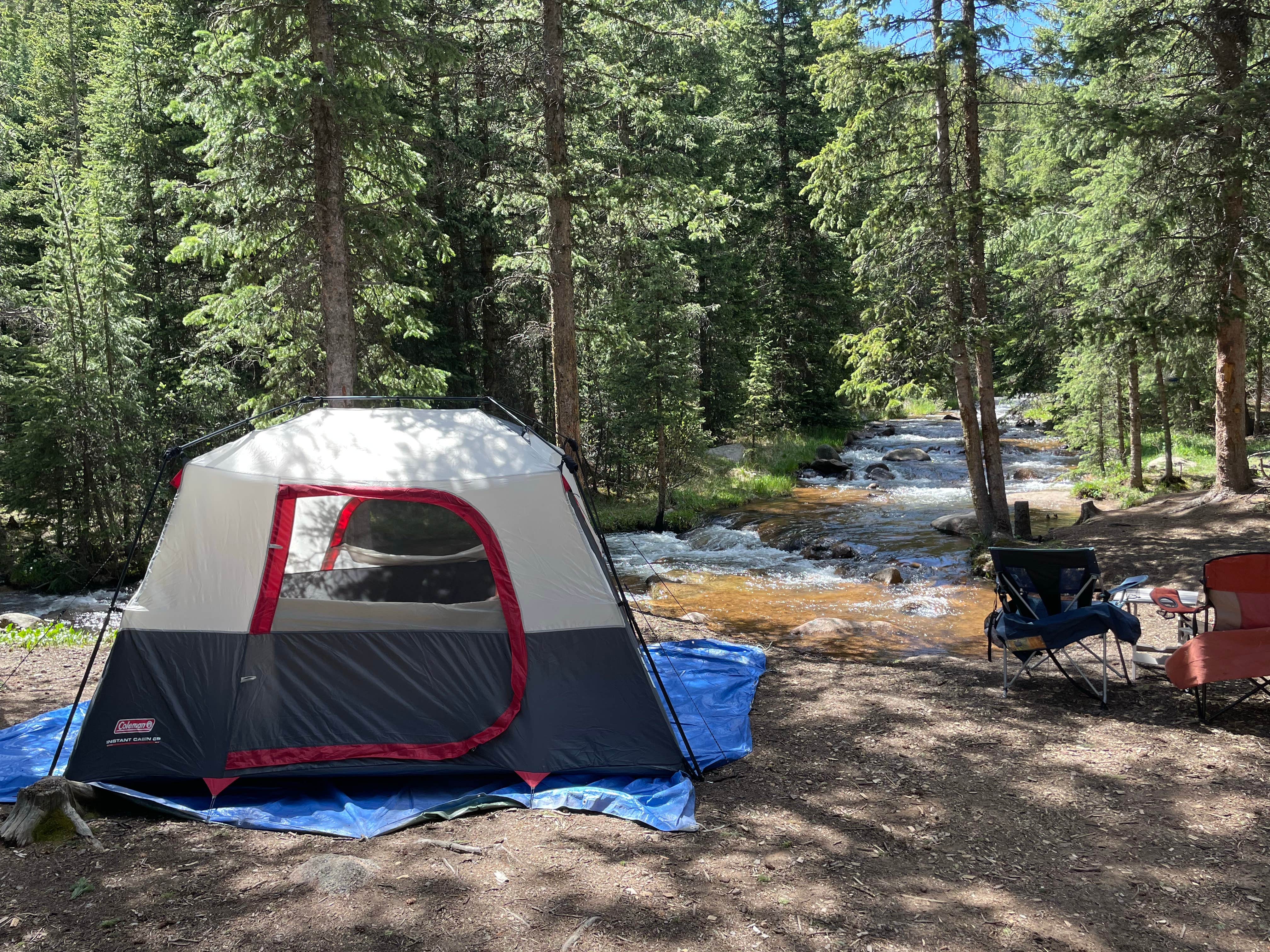 Camper submitted image from Gold Camp Road/Forest Service Road 376 Dispersed - 3