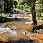 Review photo of Gold Camp Road/Forest Service Road 376 Dispersed by Chris P., June 29, 2023