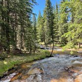 Review photo of Gold Camp Road/Forest Service Road 376 Dispersed by Chris P., June 29, 2023