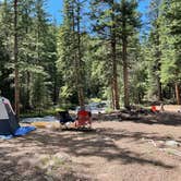 Review photo of Gold Camp Road/Forest Service Road 376 Dispersed by Chris P., June 29, 2023