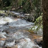 Review photo of Gold Camp Road/Forest Service Road 376 Dispersed by Chris P., June 29, 2023