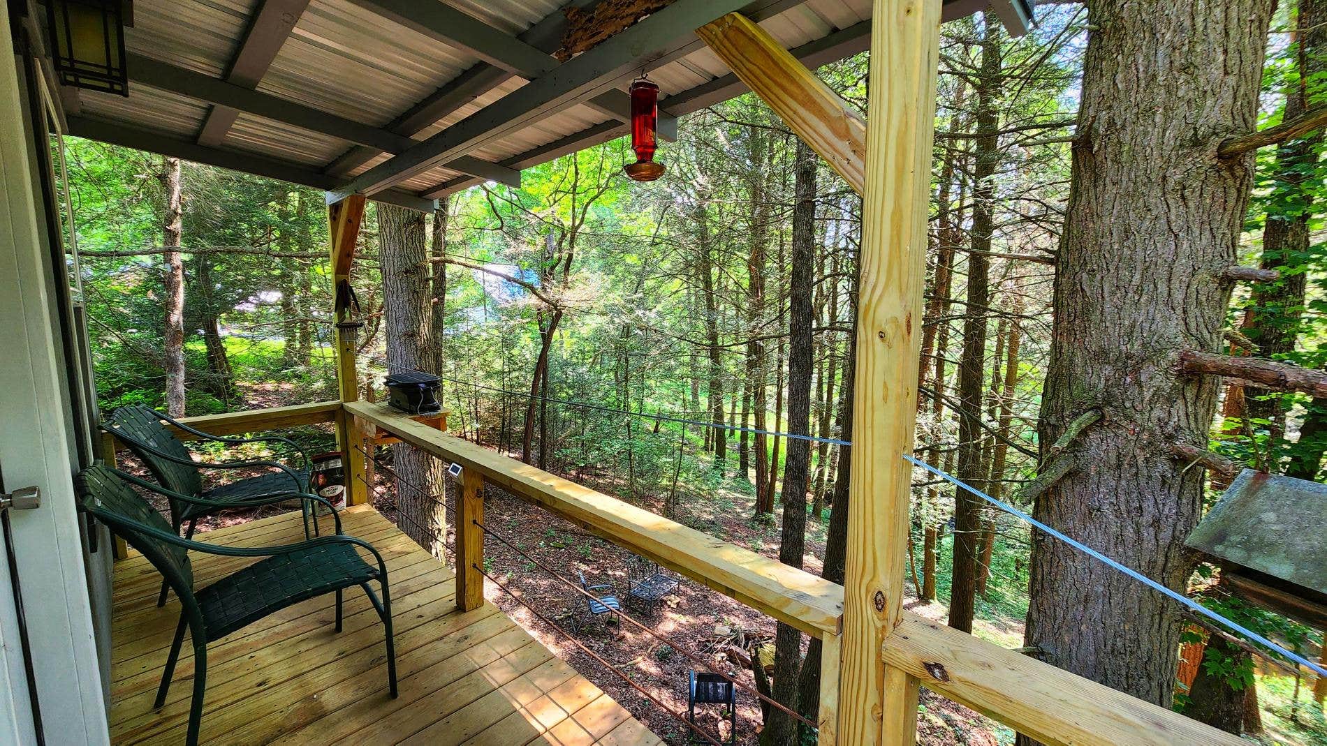 Camper submitted image from Hemlock Cabin at Ranger Creek - 2