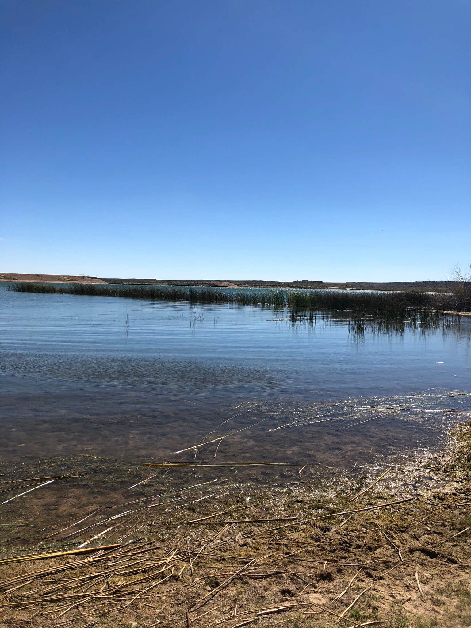 Camper-submitted photo at Yucca — Ute Lake State Park near Tucumcari, NM