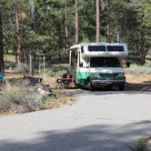 Review photo of San Gorgonio Campground by Adam  B., June 29, 2023