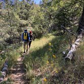 Review photo of San Gorgonio Campground by Adam  B., June 29, 2023