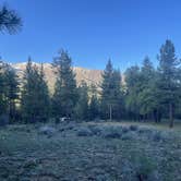 Review photo of San Gorgonio Campground by Adam  B., June 29, 2023