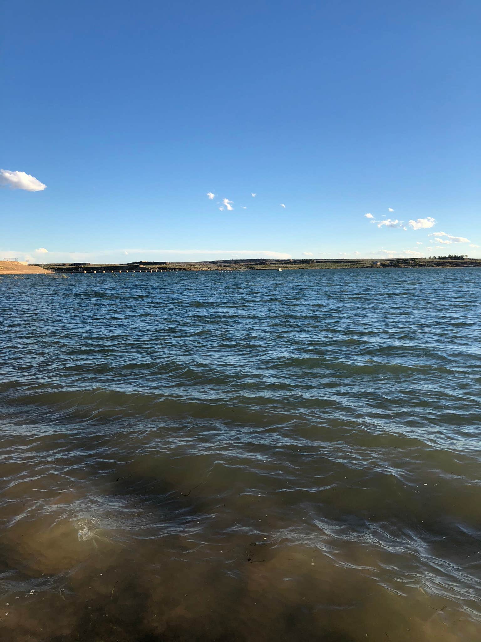 Camper submitted image from Yucca — Ute Lake State Park - 5