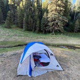 Review photo of Bluff Springs Dispersed Camping by Mandi W., June 29, 2023