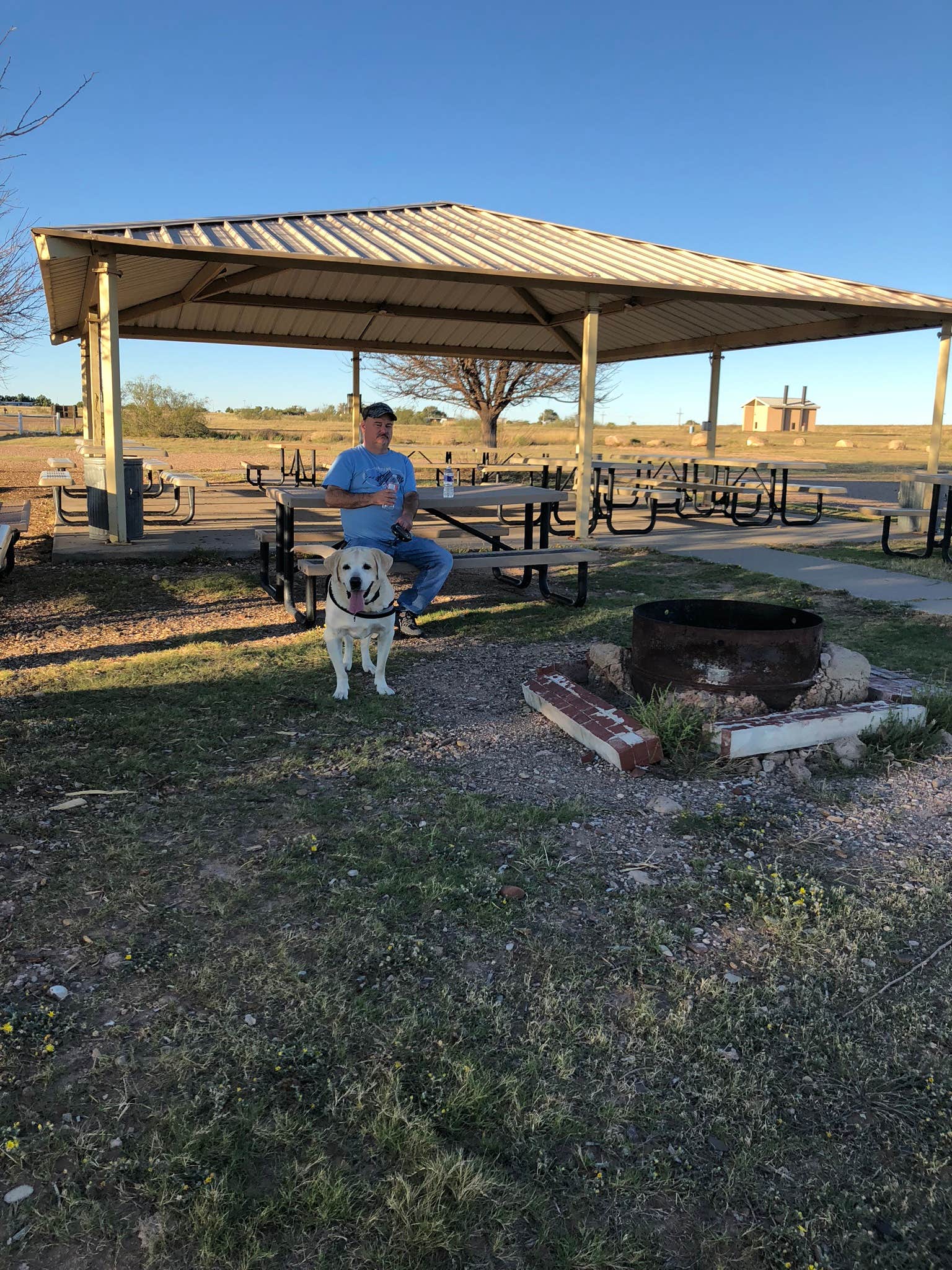 Camper submitted image from Yucca — Ute Lake State Park - 2