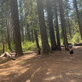 Review photo of Goat Meadow - Dispersed Camp Site by Mandi W., June 30, 2023