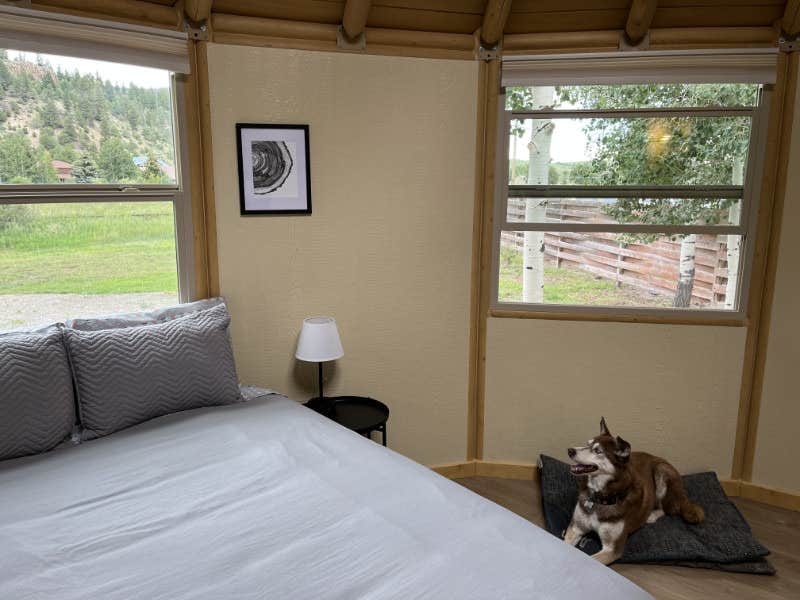 The Dyrt's photo of camping with pets at Aspen Ridge Cabins near Rio Grande National Forest