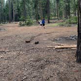 Review photo of Goat Meadow - Dispersed Camp Site by Mandi W., June 30, 2023
