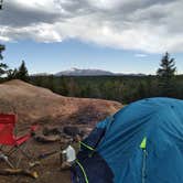 Review photo of Ice Cave Rd Dispersed Site - Pike National Forest by Jackson , June 30, 2023