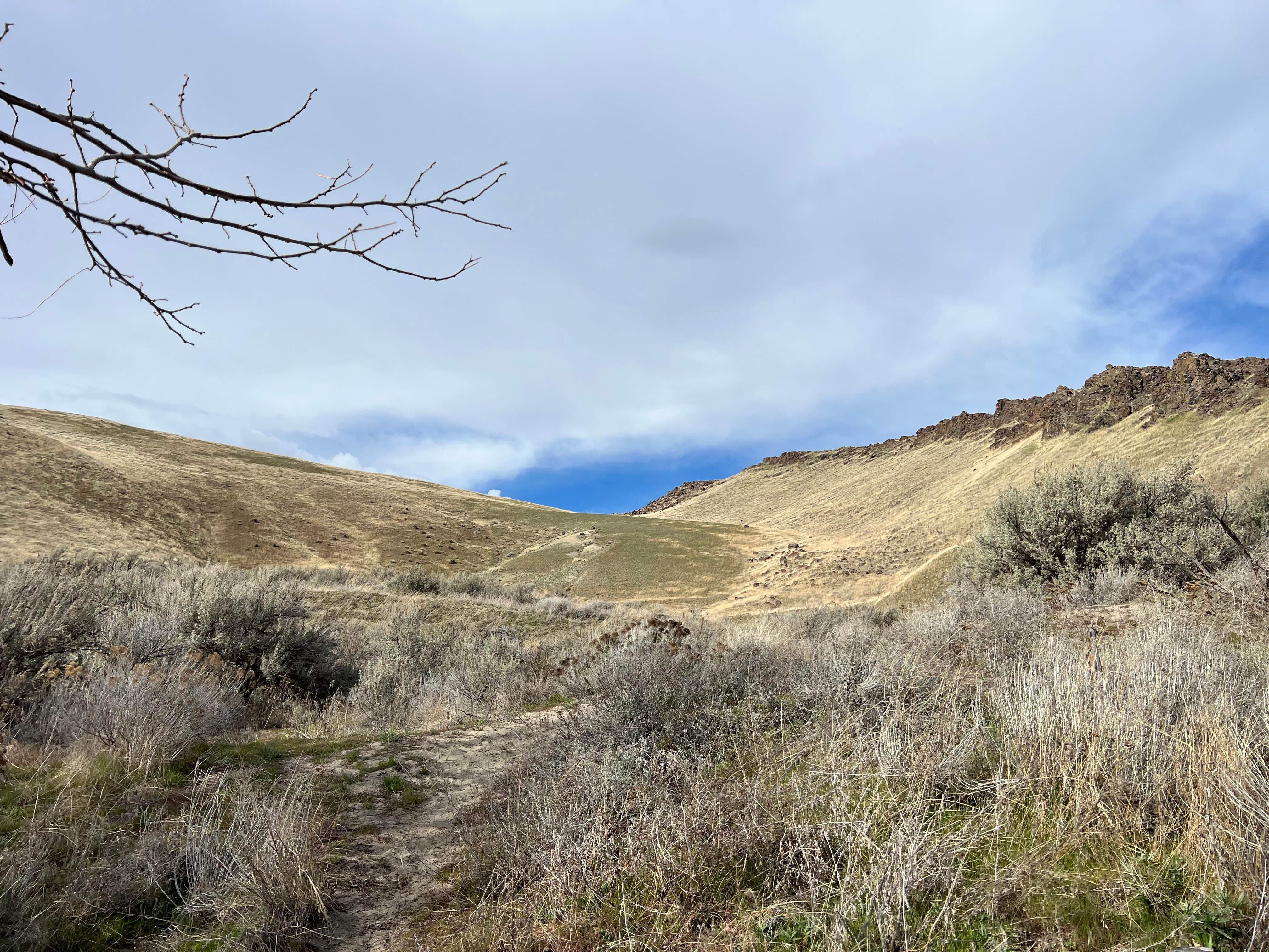 Camper submitted image from Crow Butte Park - 1