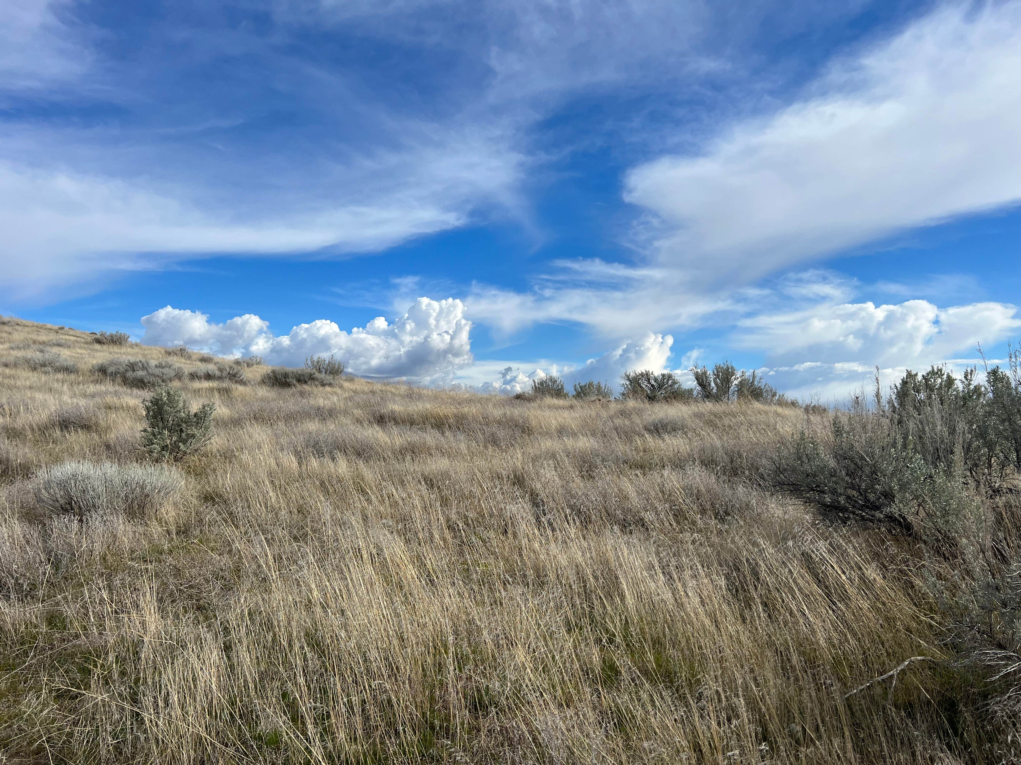Camper-submitted photo at Crow Butte Park near Mikkalo, OR