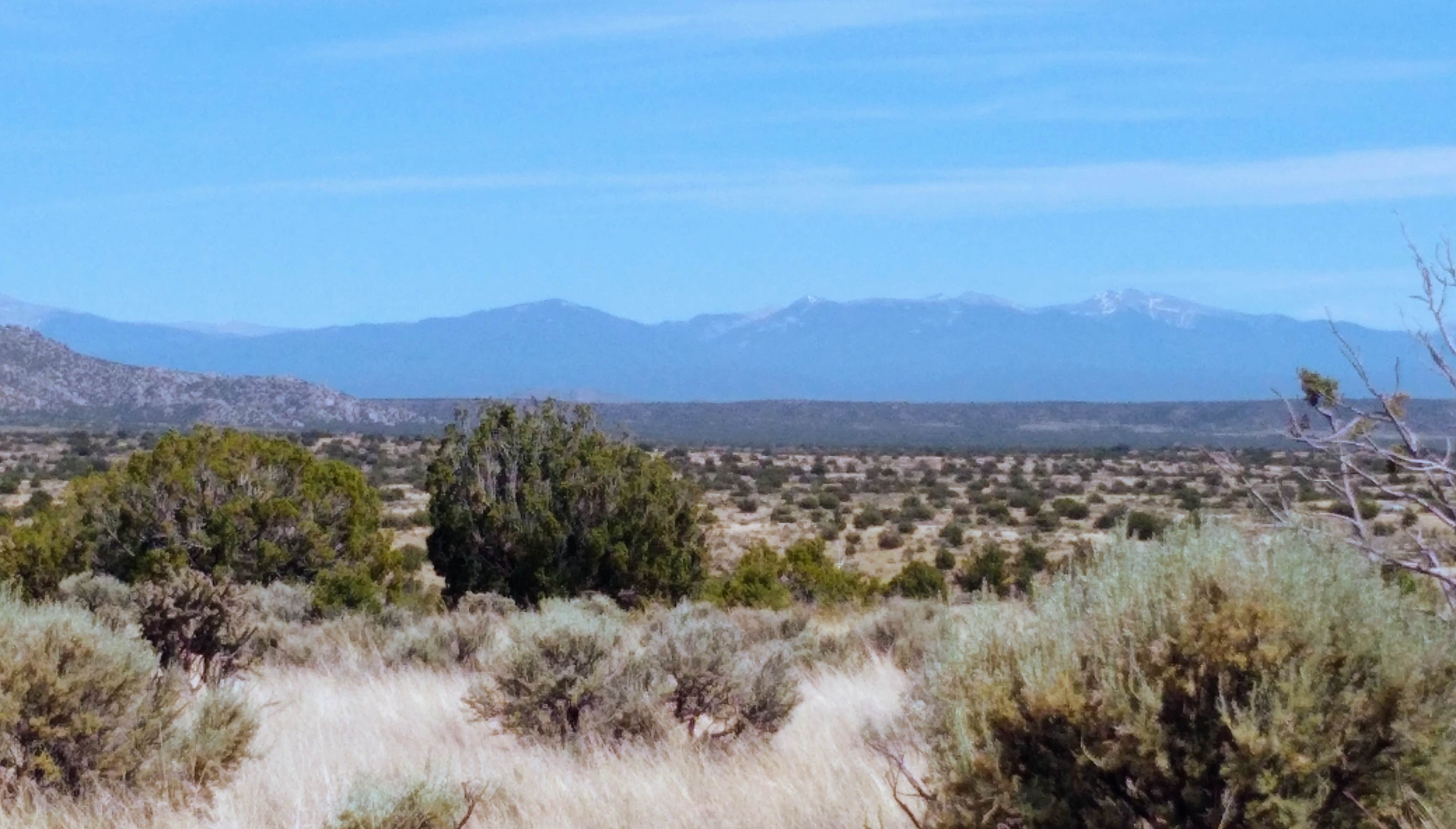 Camper-submitted photo at Forest Road 558 near Embudo, NM
