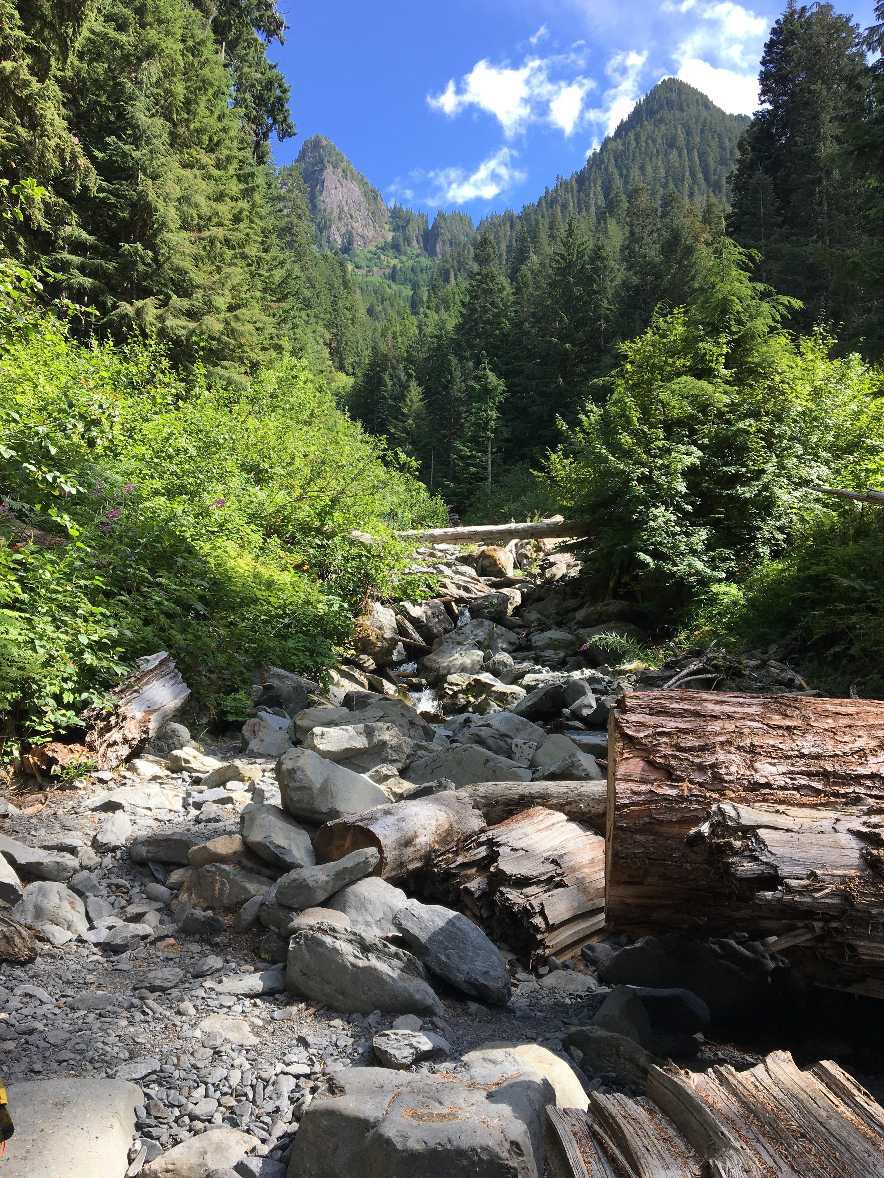 Camper submitted image from Elk Lake — Olympic National Park - 4