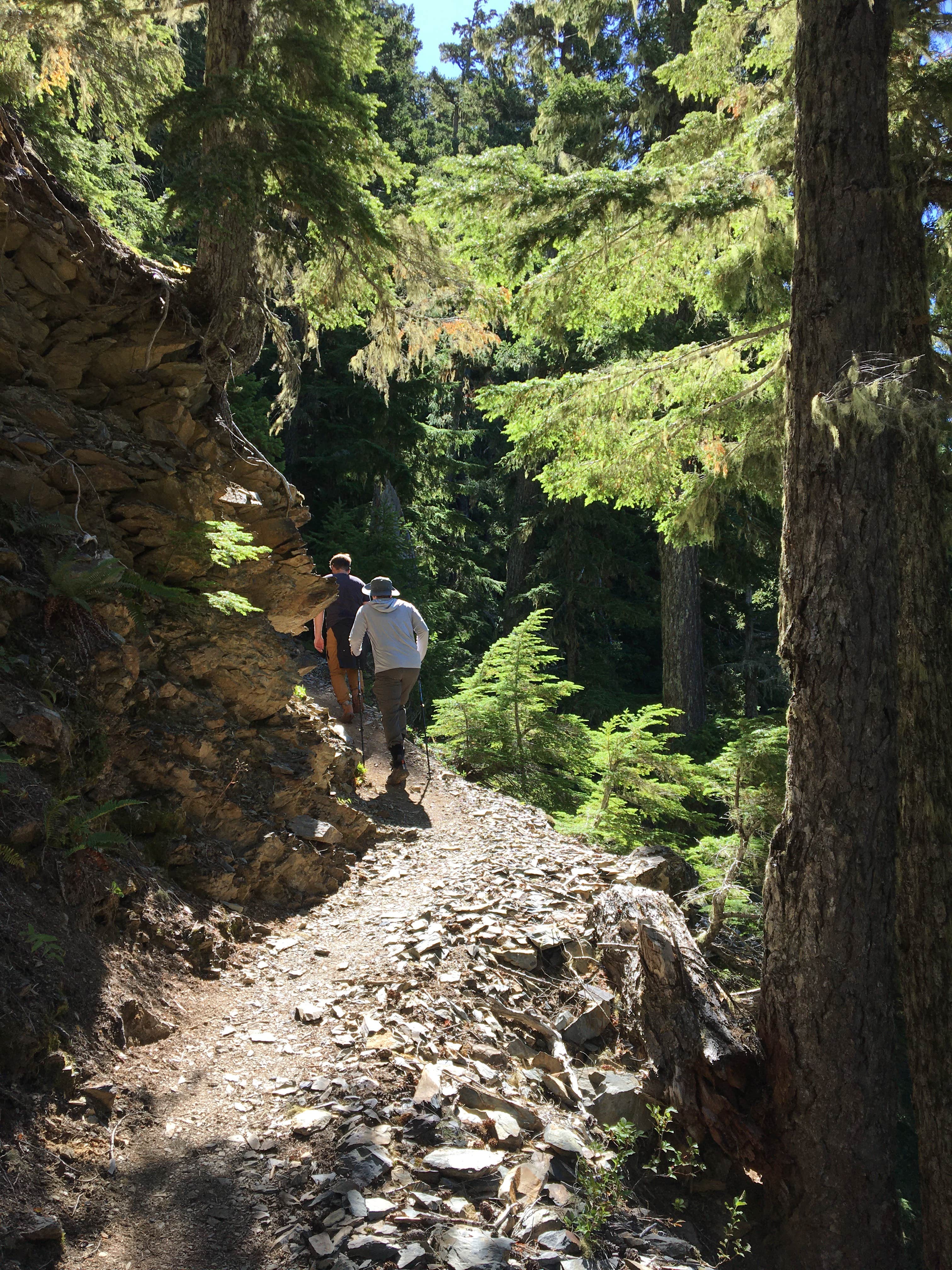 Camper submitted image from Elk Lake — Olympic National Park - 5