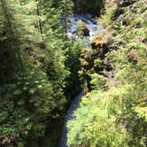 Review photo of Elk Lake — Olympic National Park by aaron S., June 30, 2023