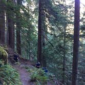 Review photo of Elk Lake — Olympic National Park by aaron S., June 30, 2023