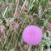 Review photo of St. Vrain State Park Campground by Jennifer O., June 30, 2023