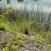 Review photo of St. Vrain State Park Campground by Jennifer O., June 30, 2023