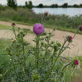 Review photo of St. Vrain State Park Campground by Jennifer O., June 30, 2023
