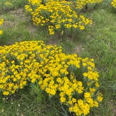 Review photo of St. Vrain State Park Campground by Jennifer O., June 30, 2023