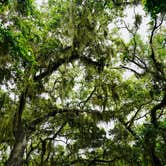 Review photo of Atlantic Beach Campground — Fort Clinch State Park by Jeremy A., June 30, 2023