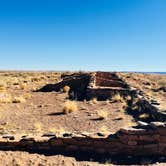 Review photo of Petrified Forest National Wilderness Area — Petrified Forest National Park by Jeremy A., June 30, 2023