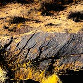 Review photo of Petrified Forest National Wilderness Area — Petrified Forest National Park by Jeremy A., June 30, 2023