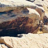 Review photo of Petrified Forest National Wilderness Area — Petrified Forest National Park by Jeremy A., June 30, 2023