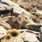 Review photo of Petrified Forest National Wilderness Area — Petrified Forest National Park by Jeremy A., June 30, 2023