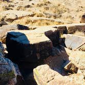 Review photo of Petrified Forest National Wilderness Area — Petrified Forest National Park by Jeremy A., June 30, 2023