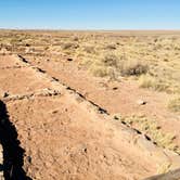 Review photo of Petrified Forest National Wilderness Area — Petrified Forest National Park by Jeremy A., June 30, 2023