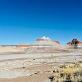 Review photo of Petrified Forest National Wilderness Area — Petrified Forest National Park by Jeremy A., June 30, 2023