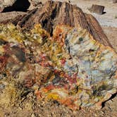 Review photo of Petrified Forest National Wilderness Area — Petrified Forest National Park by Jeremy A., June 30, 2023