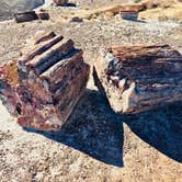 Review photo of Petrified Forest National Wilderness Area — Petrified Forest National Park by Jeremy A., June 30, 2023