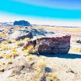 Review photo of Petrified Forest National Wilderness Area — Petrified Forest National Park by Jeremy A., June 30, 2023