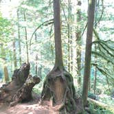 Review photo of Smith Creek Village — Silver Falls State Park by aaron S., June 30, 2023