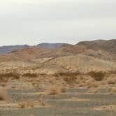 Review photo of BLM Dispersed Camping at Joshua Tree by Ashley  C., June 30, 2023