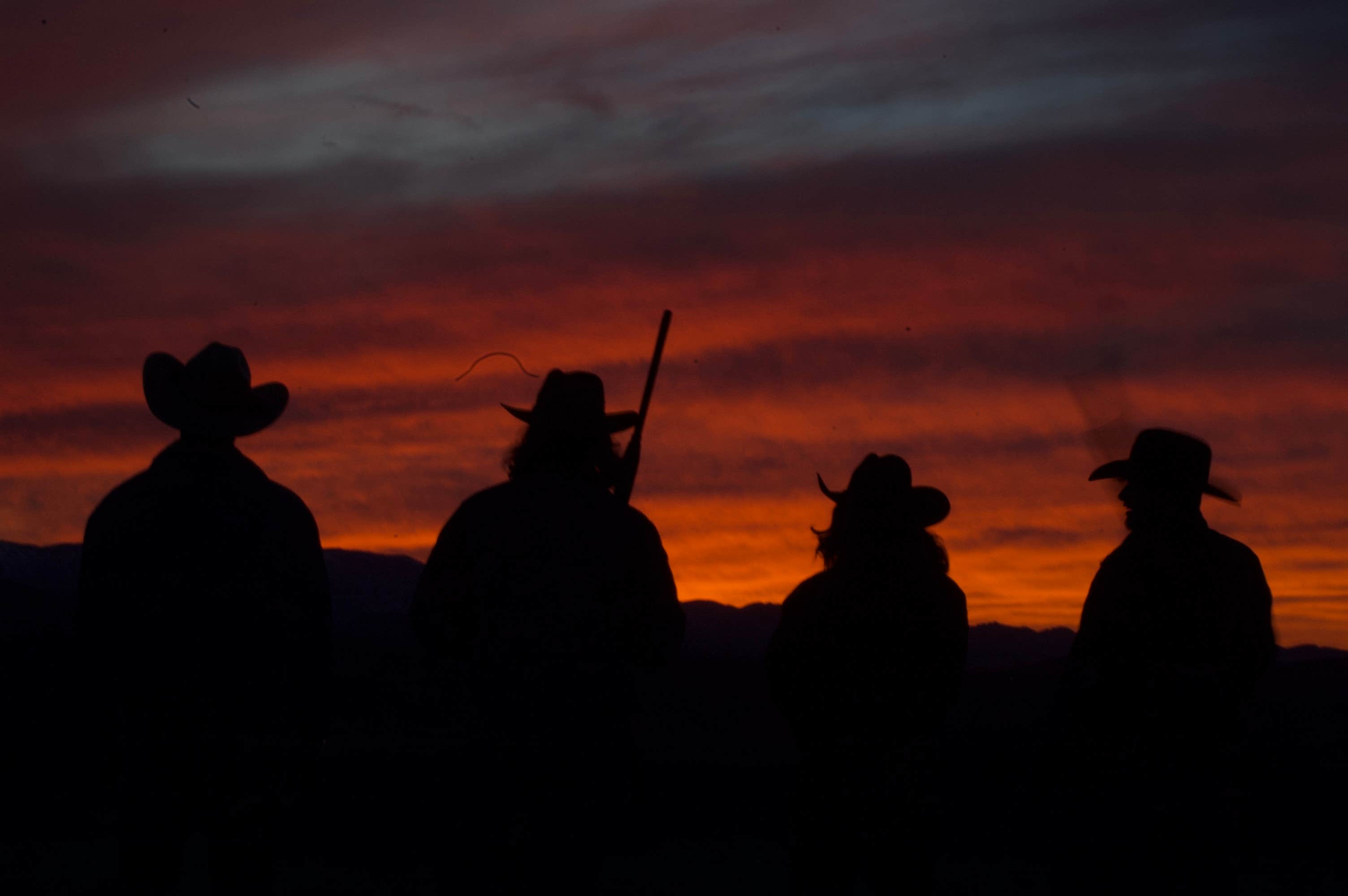 Ashley  C.'s photo of a dispersed camping area at BLM Dispersed Camping at Joshua Tree near Twentynine Palms, CA